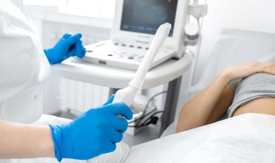 Gloved sonographer hand holding an ultrasound transducer