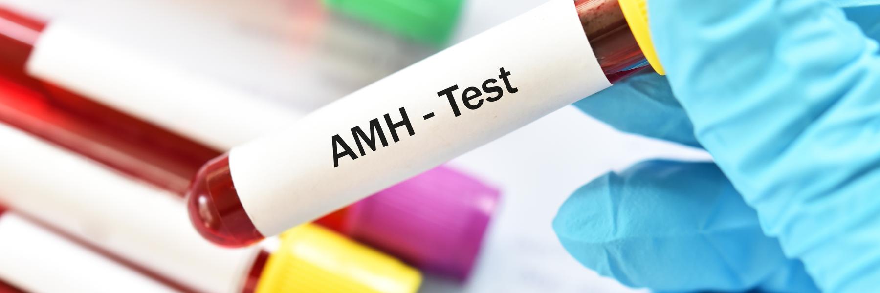 AMH Blood Test