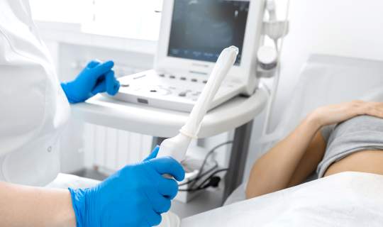 Gloved sonographer hand holding an ultrasound transducer